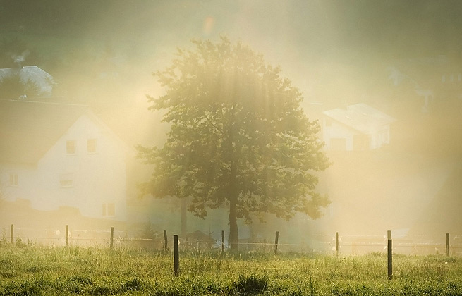 网络电话呼叫软件免费版