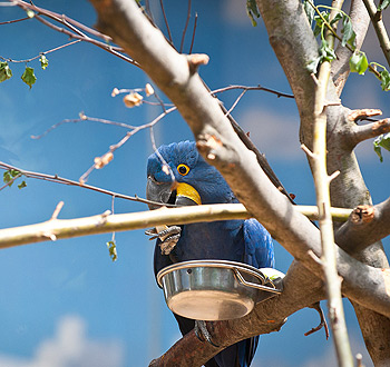 求问手机号轰炸