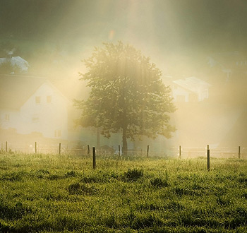 手机号验证码轰炸平台