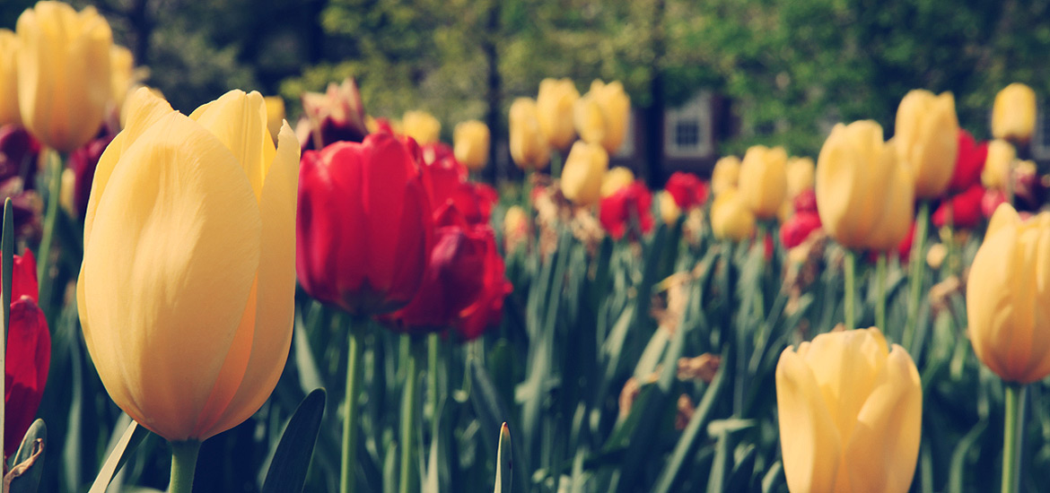 电话狂轰滥炸软件