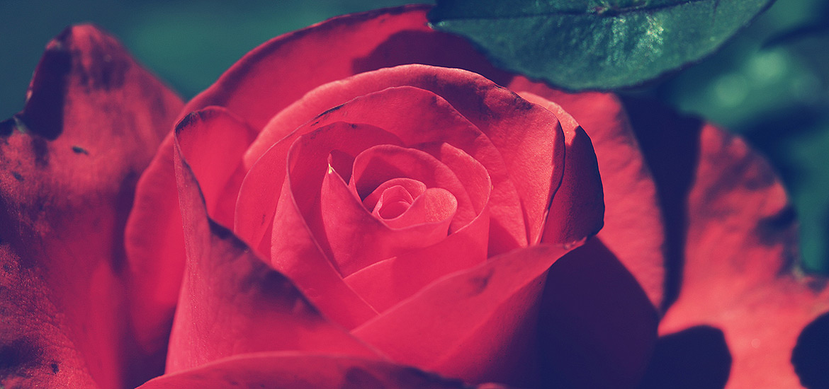 【高级功能版】全面解锁的电话轰炸免费在线网站